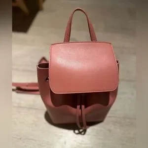 【未使用】MANSUR GAVRIEL☆CALF Mini Folded Bag Blush ピンク 595985_01.jpg?quality=80&bg-